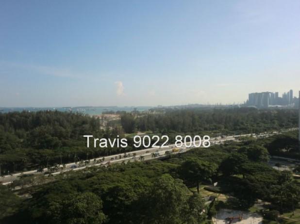 The Belvedere thumbnail photo